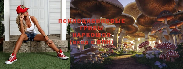 герыч Бугульма